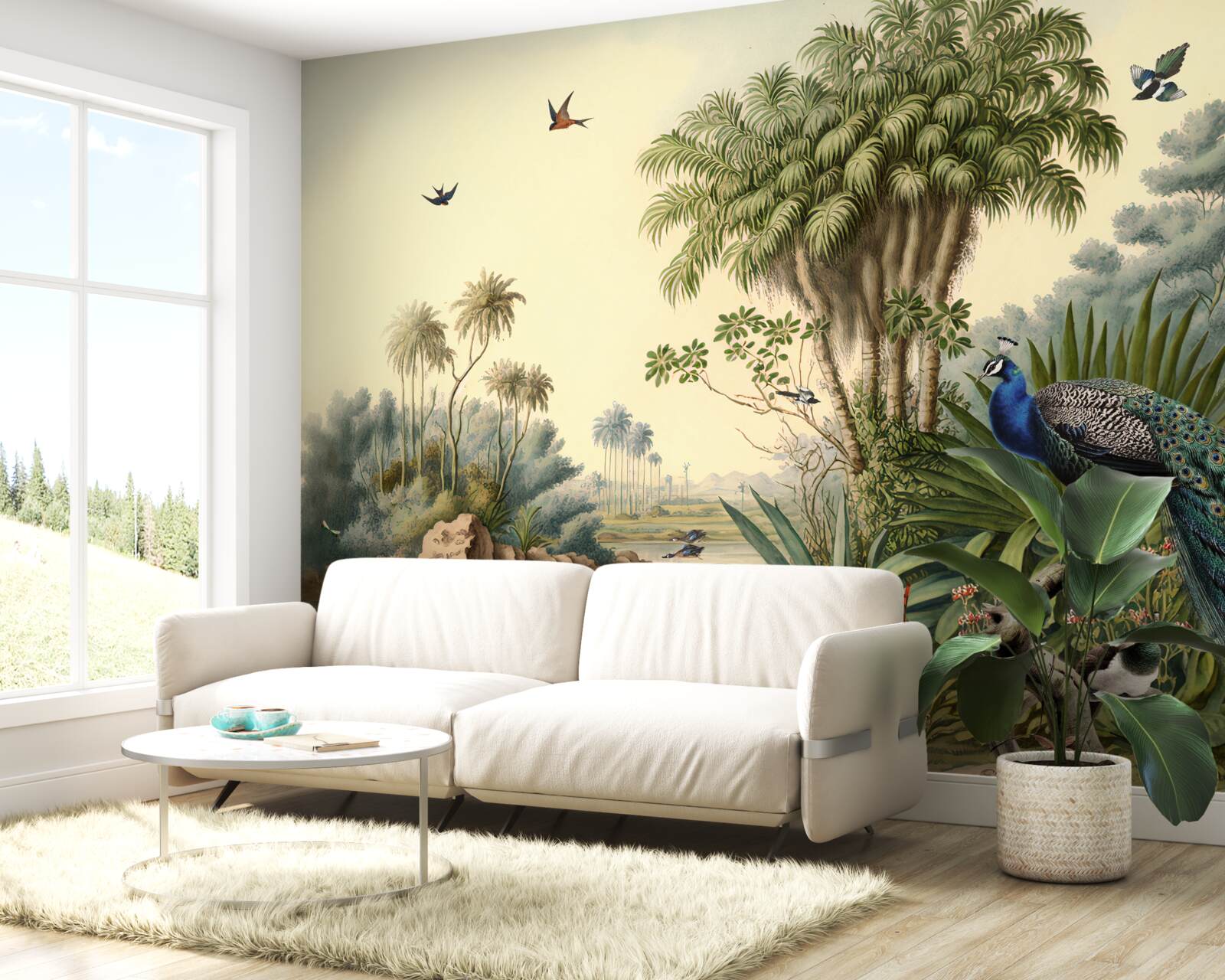 Фотошпалери павича в його справжньому середовищі існування