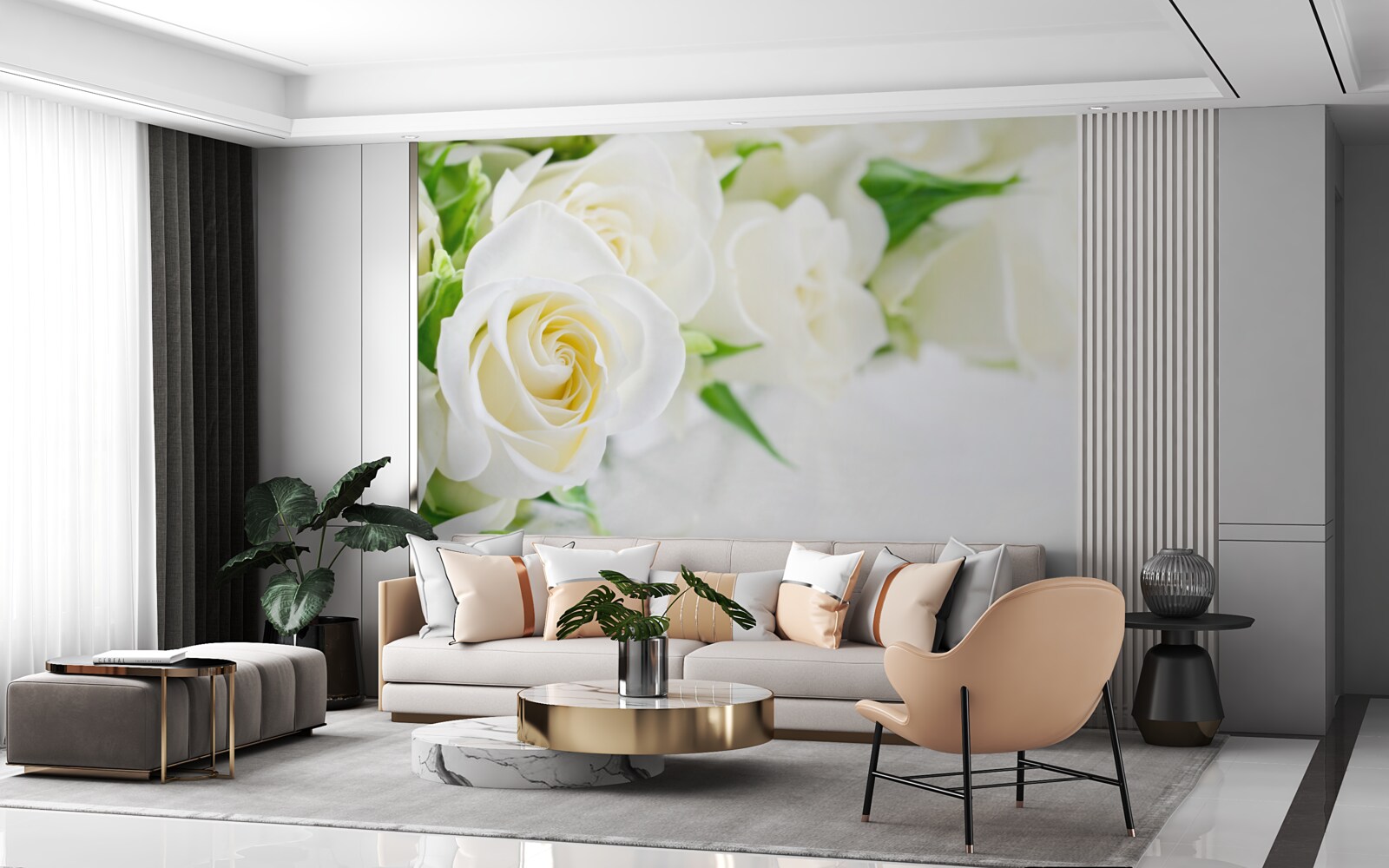 Фотошпалери біла троянда на білосніжному тлі