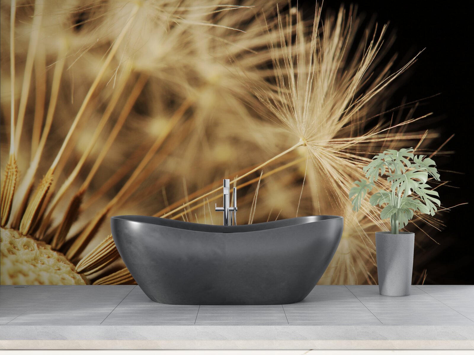 Фотошпалери квіти кульбаби білі на чорному тлі