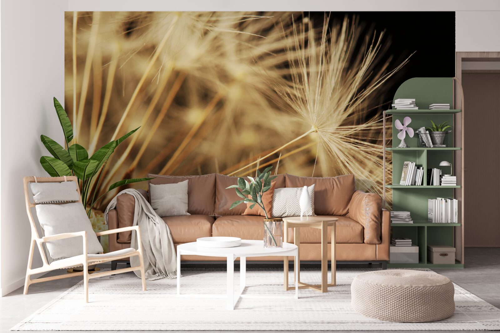 Фотошпалери квіти кульбаби білі на чорному тлі