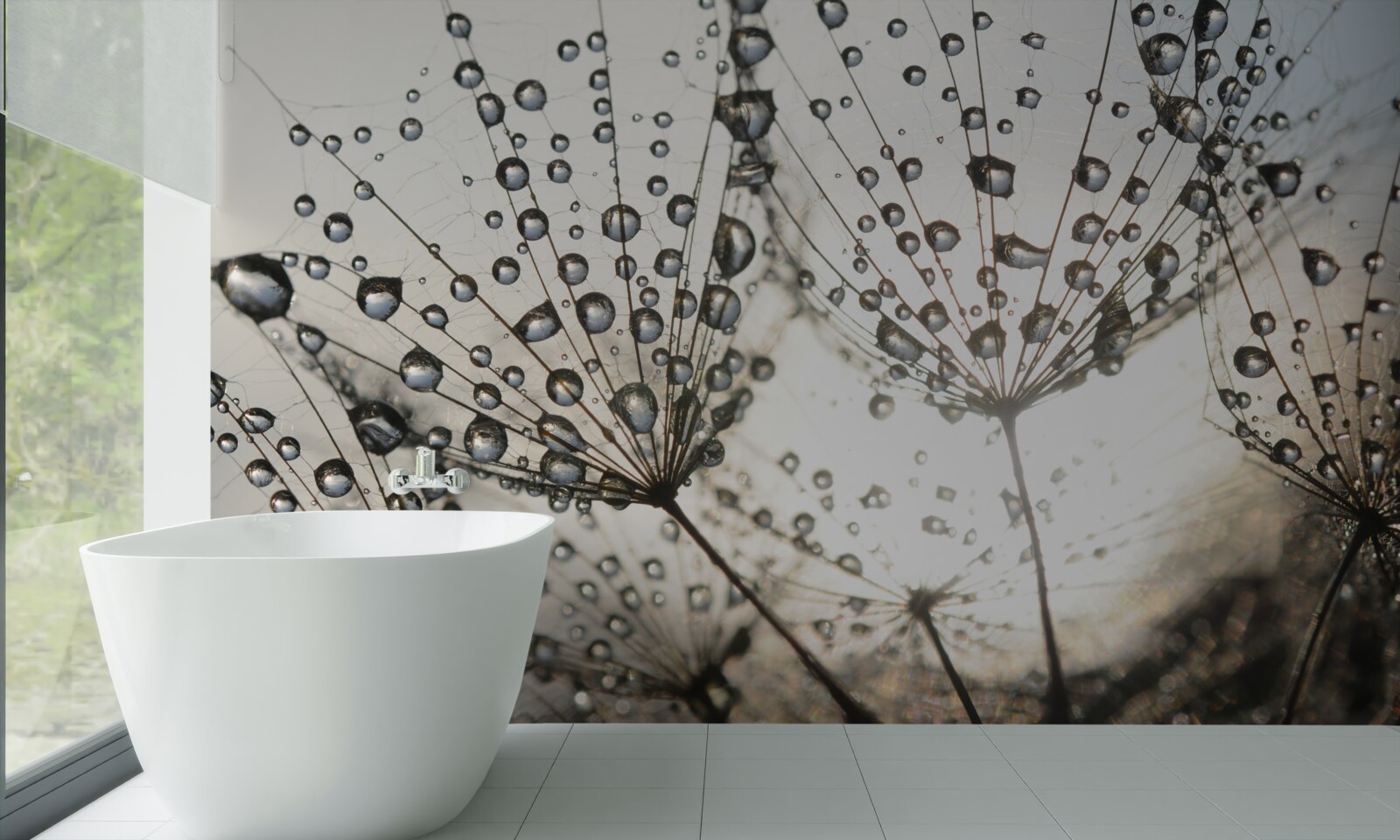 Фотошпалери дощова кульбаба