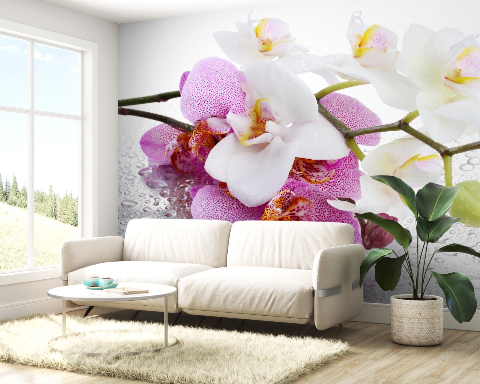 Фотошпалери краплі роси на гілках білих і бузкових орхідей