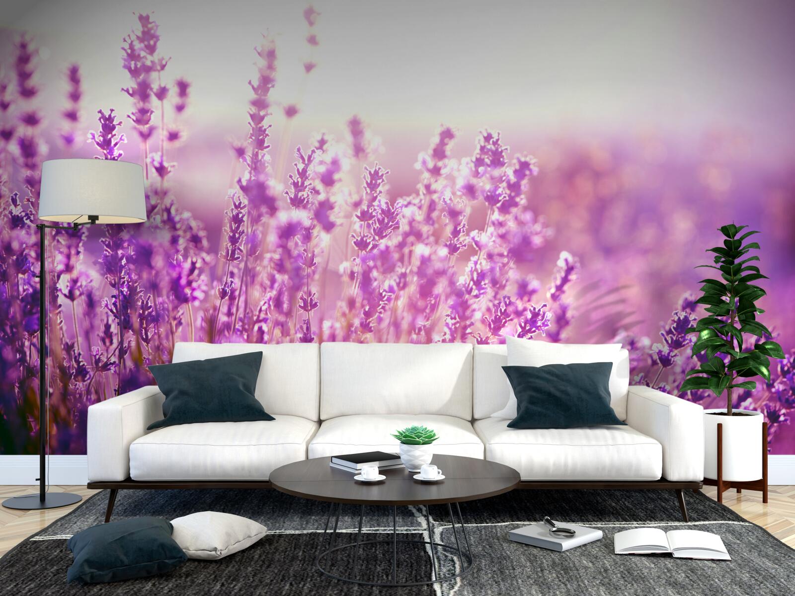 Фотошпалери квіти лаванди на світанку