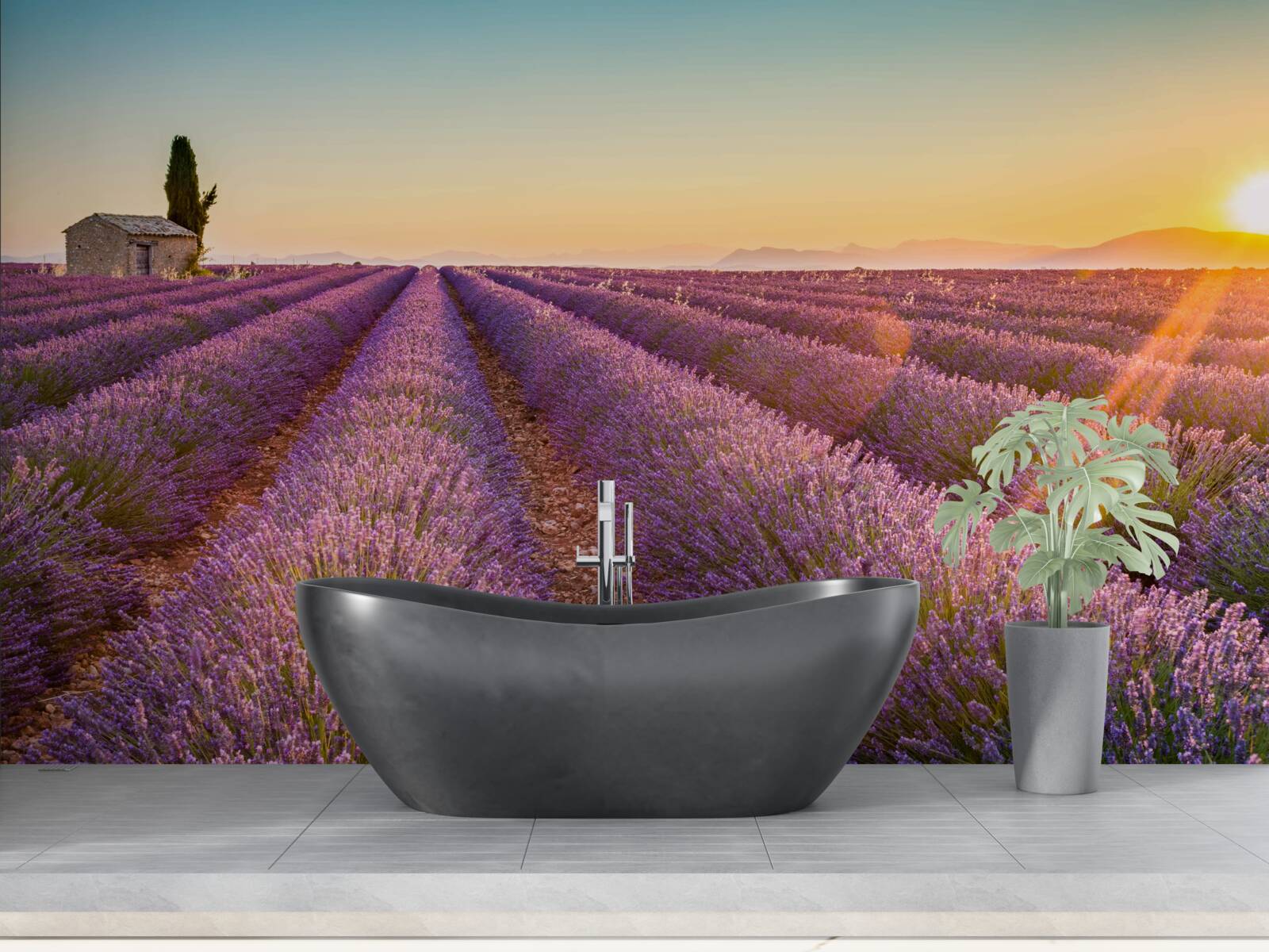 Фотошпалери Світанок зійшов над полем лаванди
