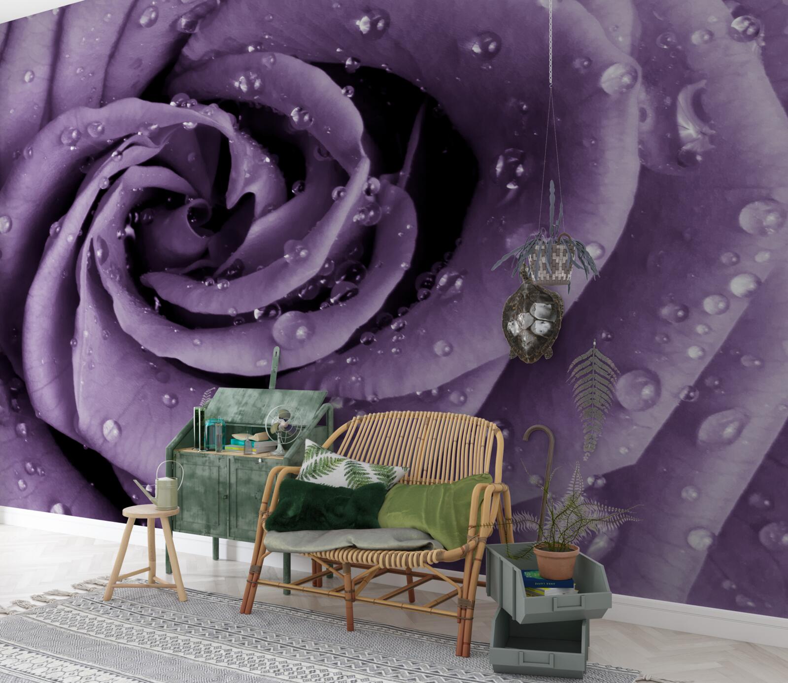 Фотошпалери ранкова роса на фіалковій троянді