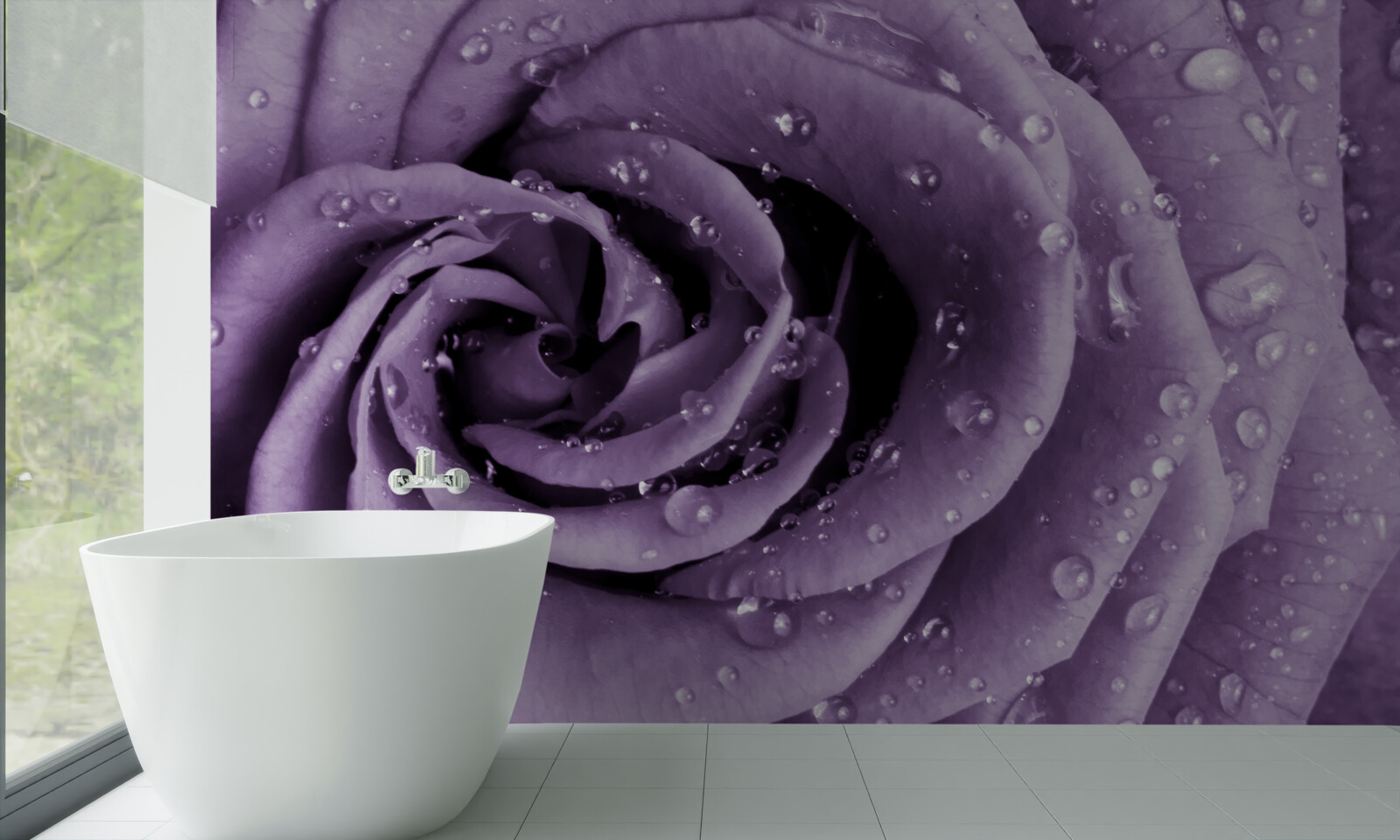 Фотошпалери ранкова роса на фіалковій троянді