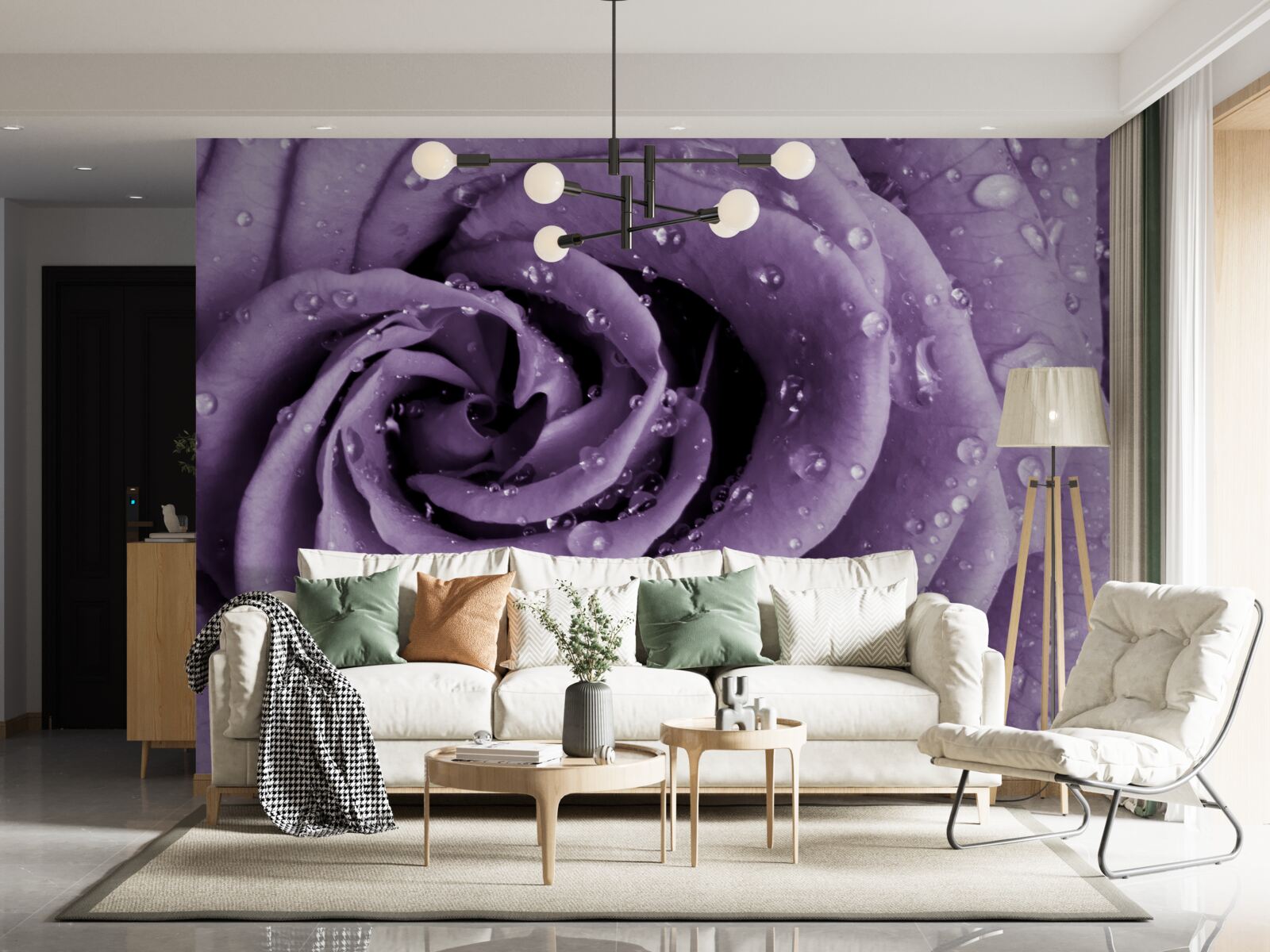 Фотошпалери ранкова роса на фіалковій троянді