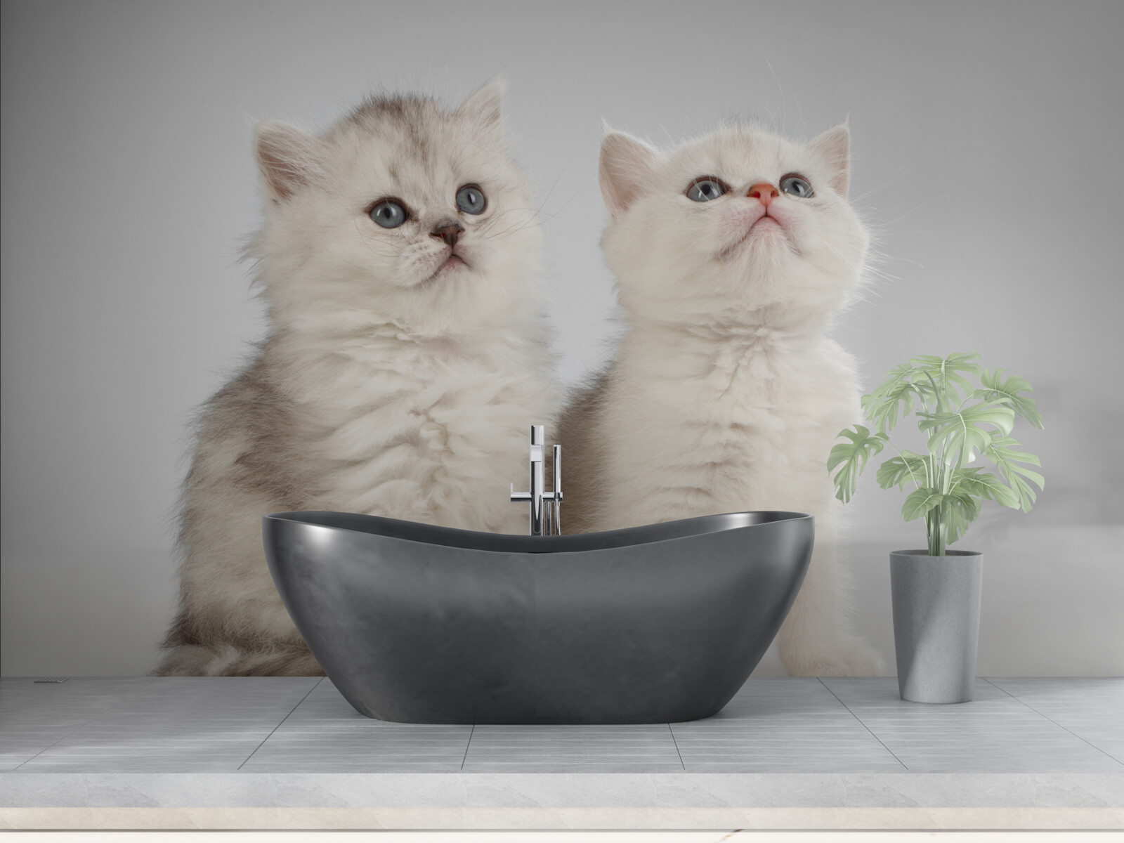 Фотошпалери спостерігати за двома маленькими котиками