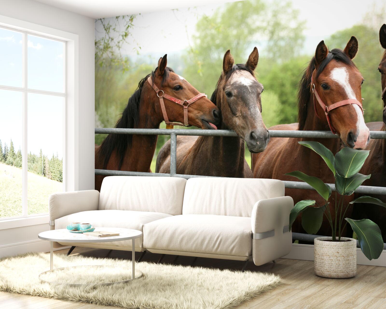 Фотошпалери у вольєрі чотири коні коричневого кольору