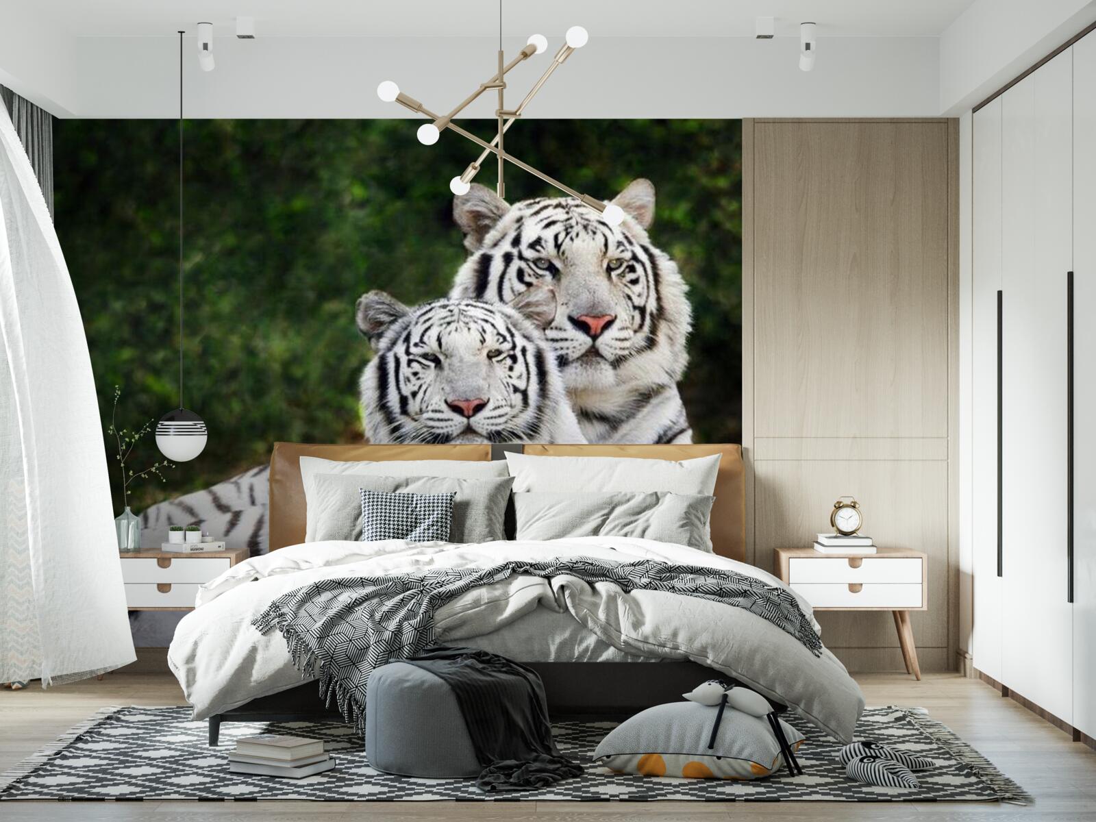 Фотошпалери у лісі живуть два білих тигри, одружені на