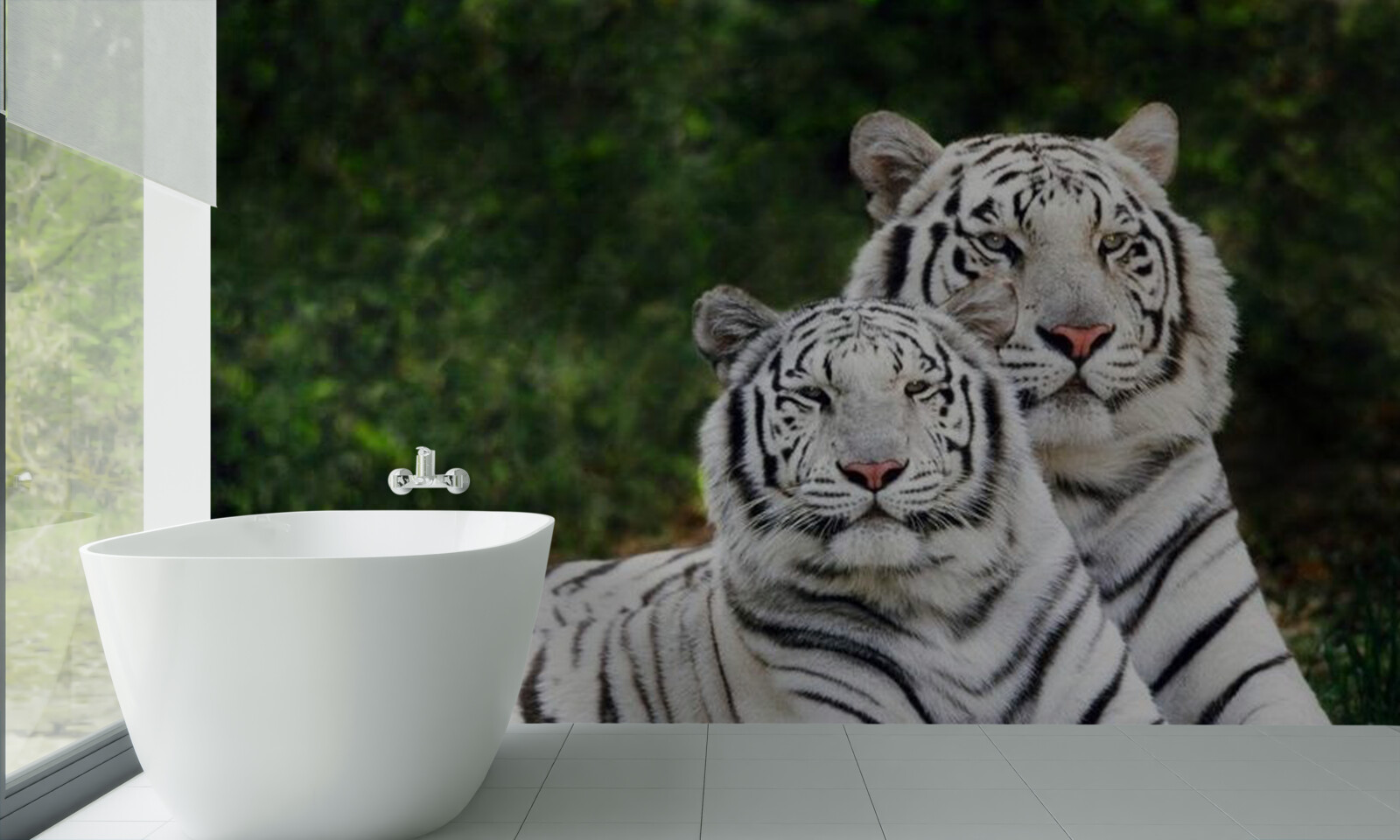 Фотошпалери у лісі живуть два білих тигри, одружені на