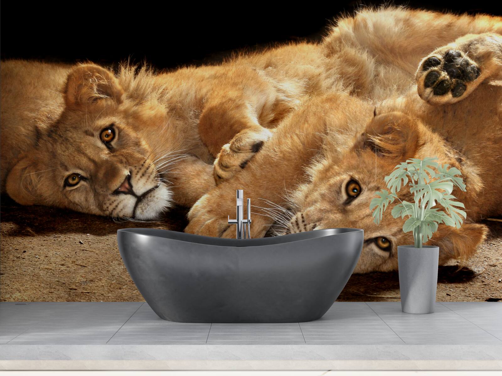 Фотошпалери молоді леви граються на землі