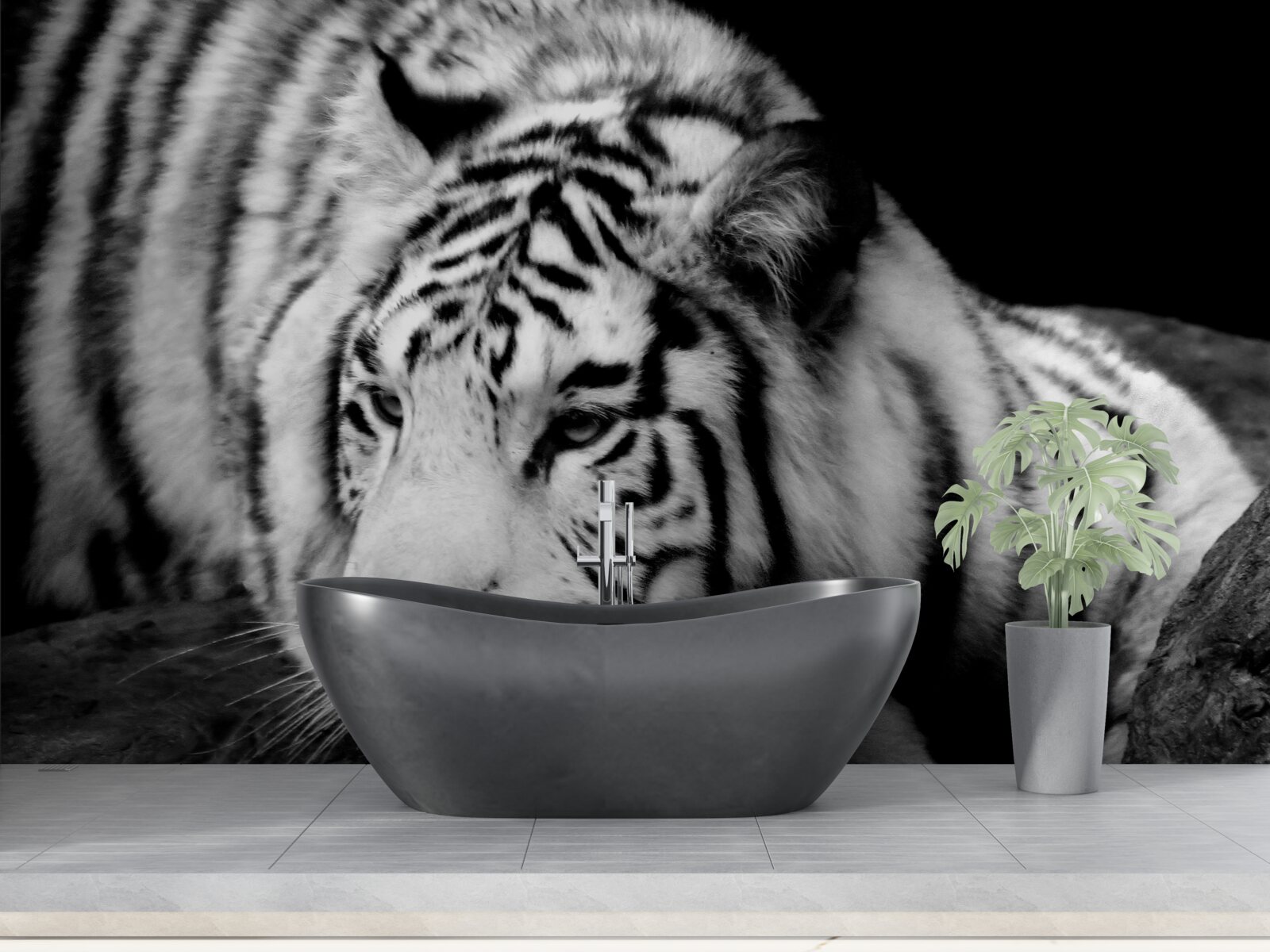 Фотошпалери милий чорно-білий тигр