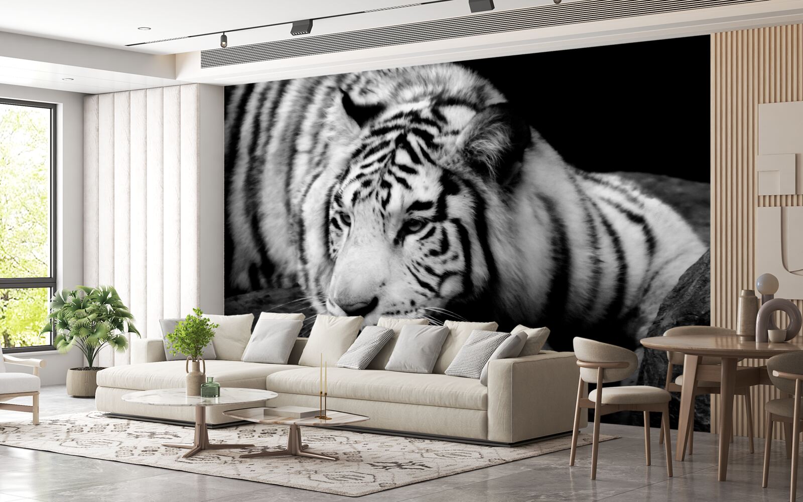 Фотошпалери милий чорно-білий тигр