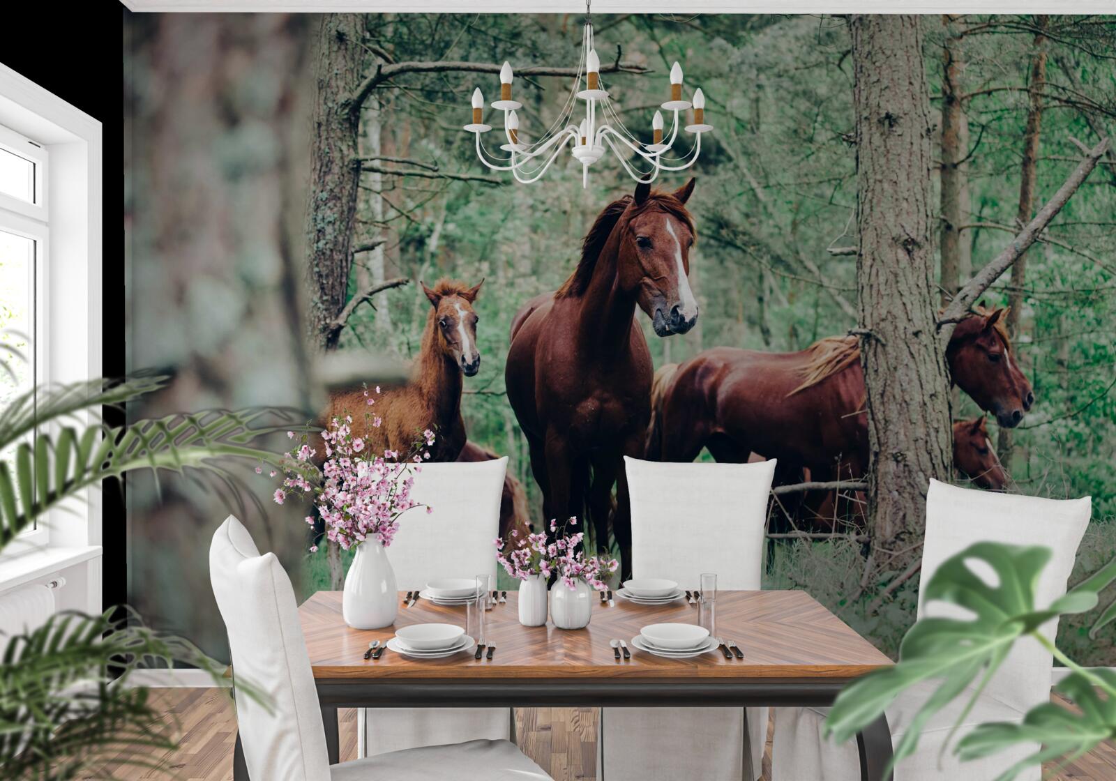 Фотошпалери коні гуляють у лісі навесні