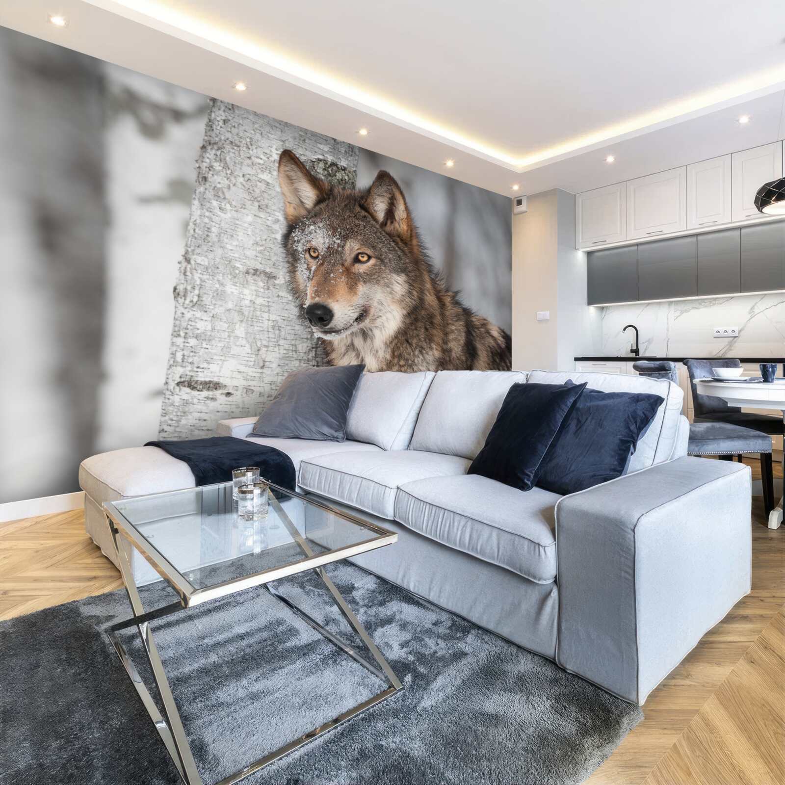 Фотошпалери вовк коричного кольору сидів у засідці біля берези