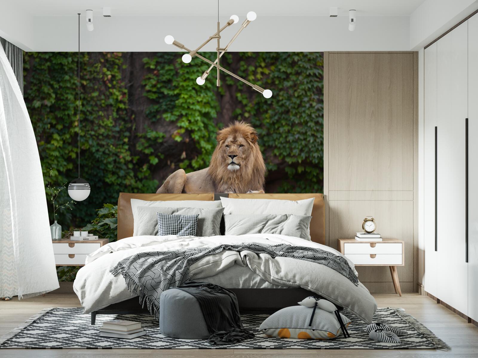 Фотошпалери величний лев спочиває на вкритому мохом камені