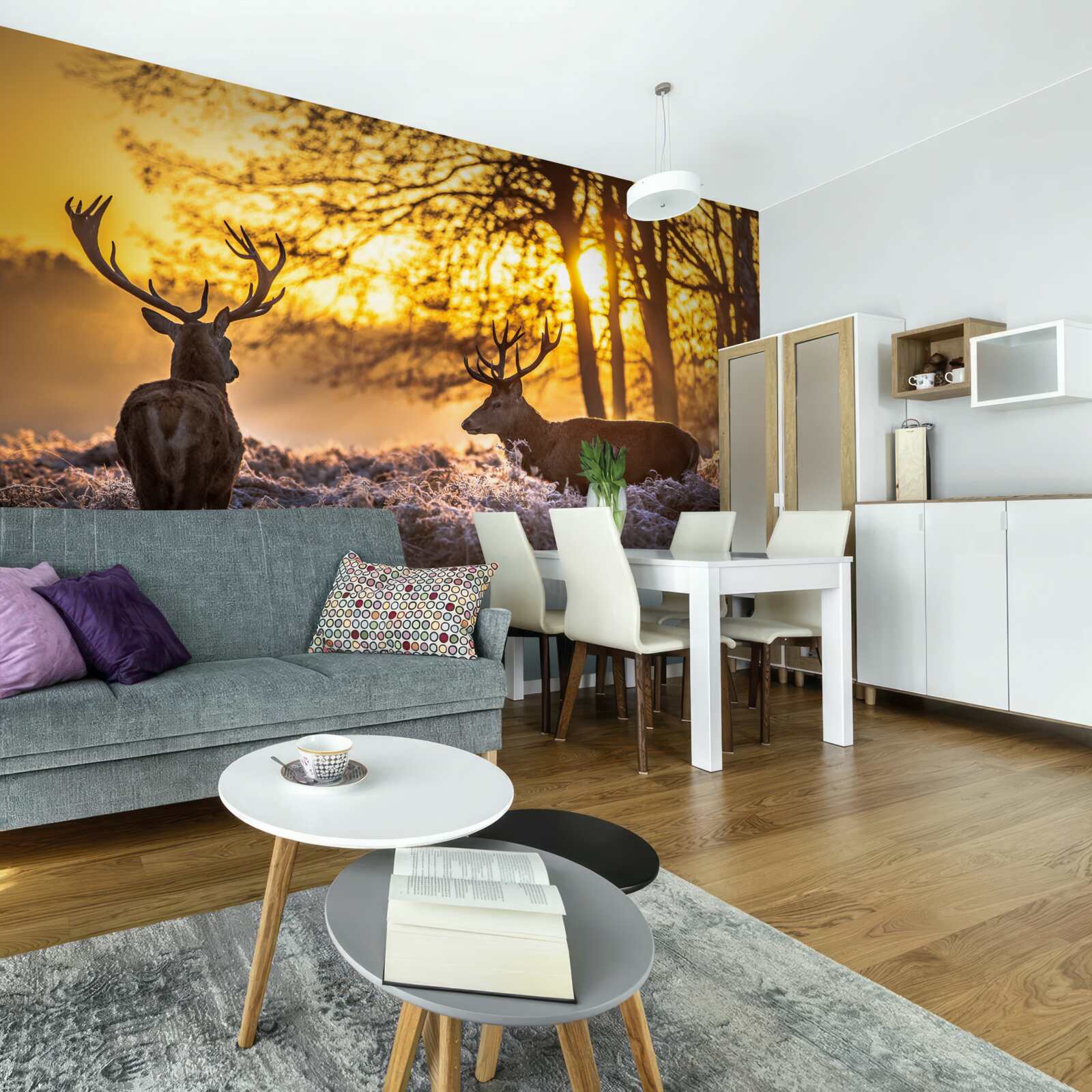 Фотошпалери захід сонця супроводжують дорослі олені