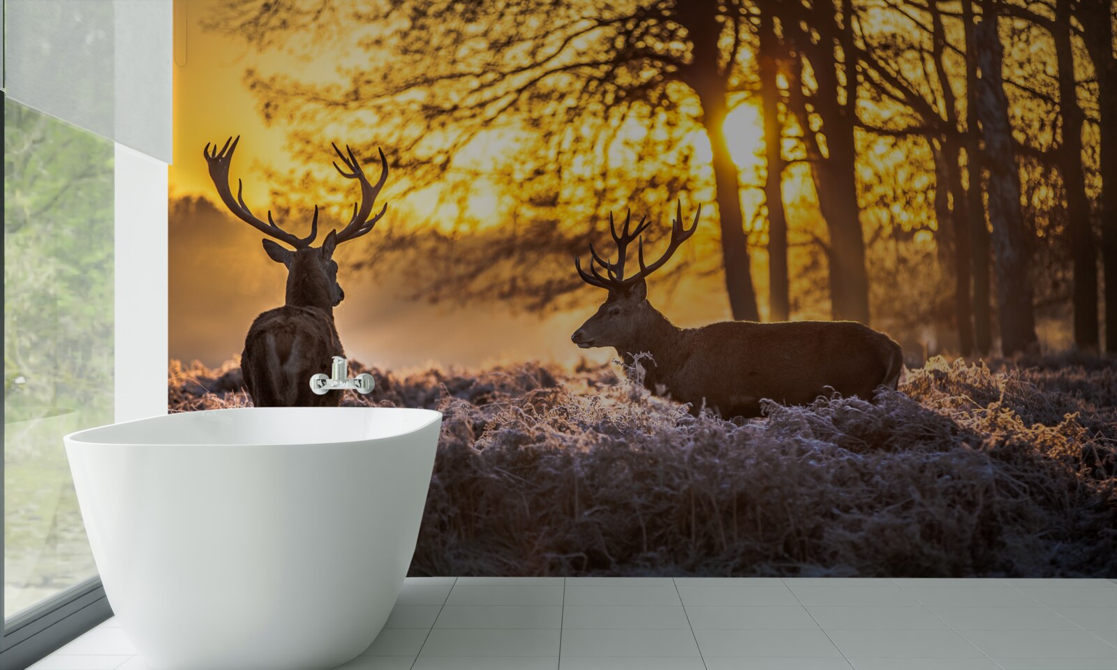 Фотошпалери захід сонця супроводжують дорослі олені