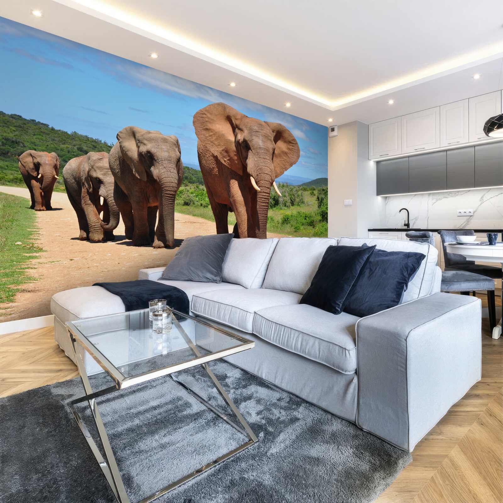 Фотошпалери Група слонів повертається додому піщаною місцевістю