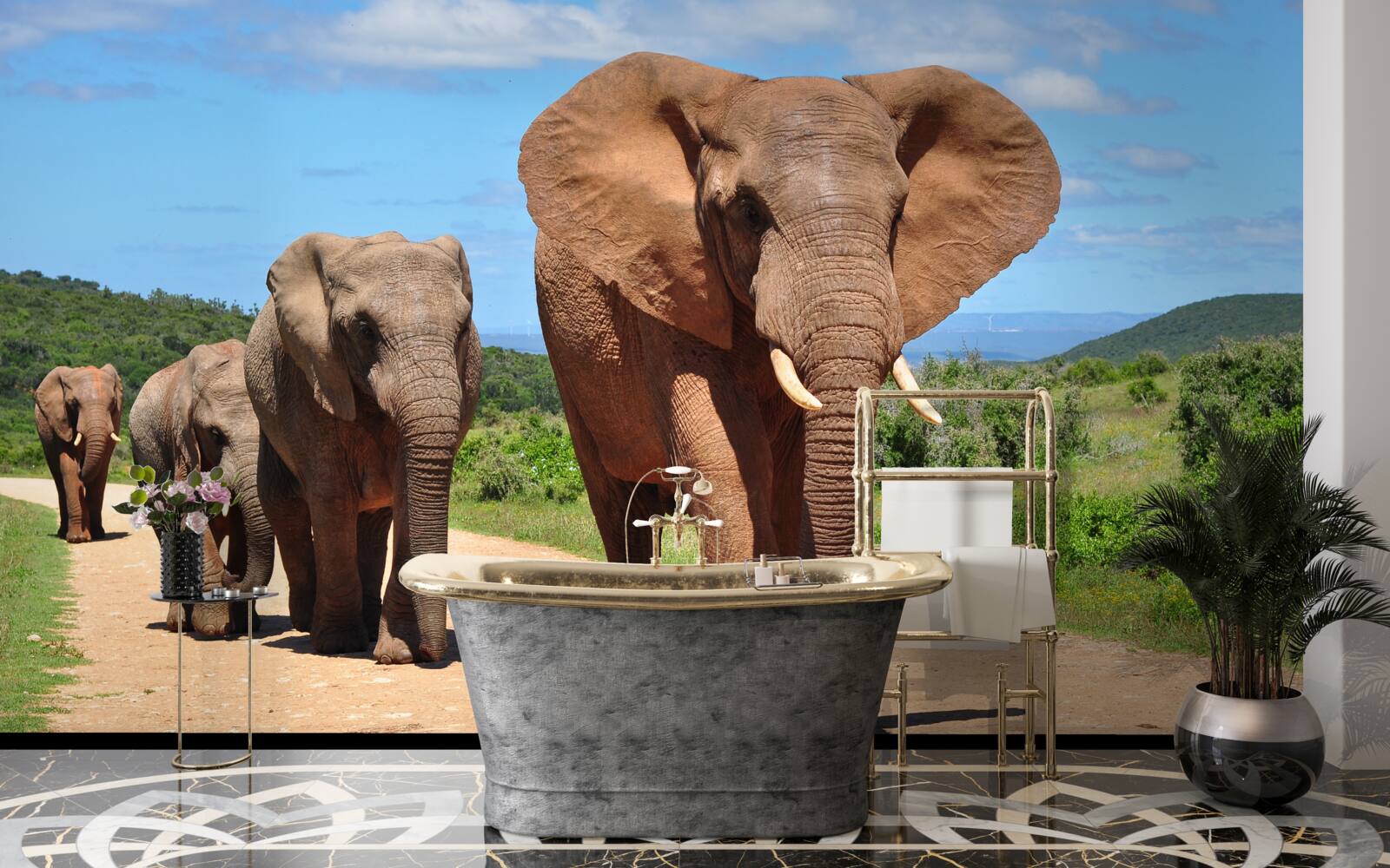 Фотошпалери Група слонів повертається додому піщаною місцевістю