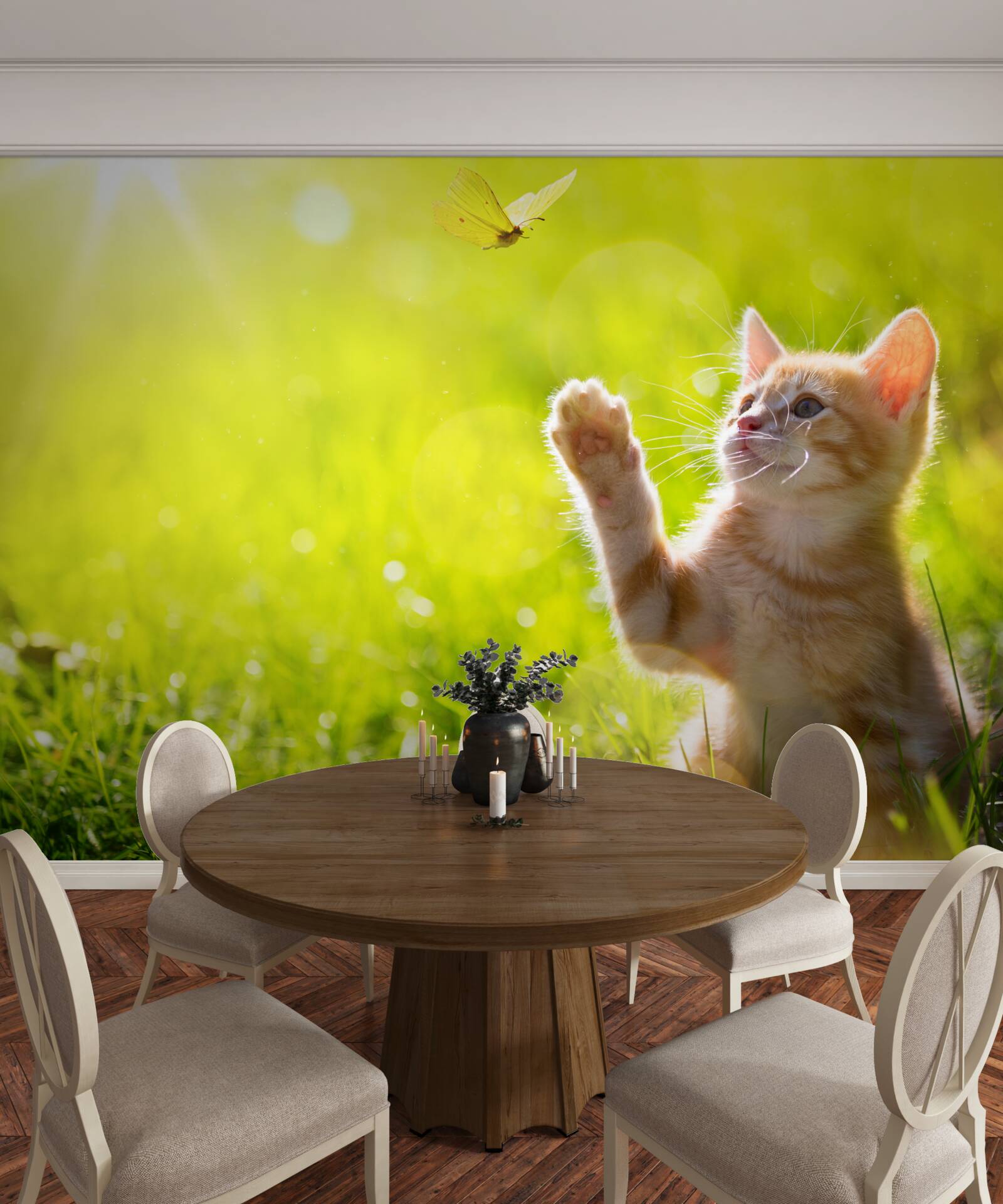 Фотошпалери маленький кіт грається з метеликом у зеленому полі