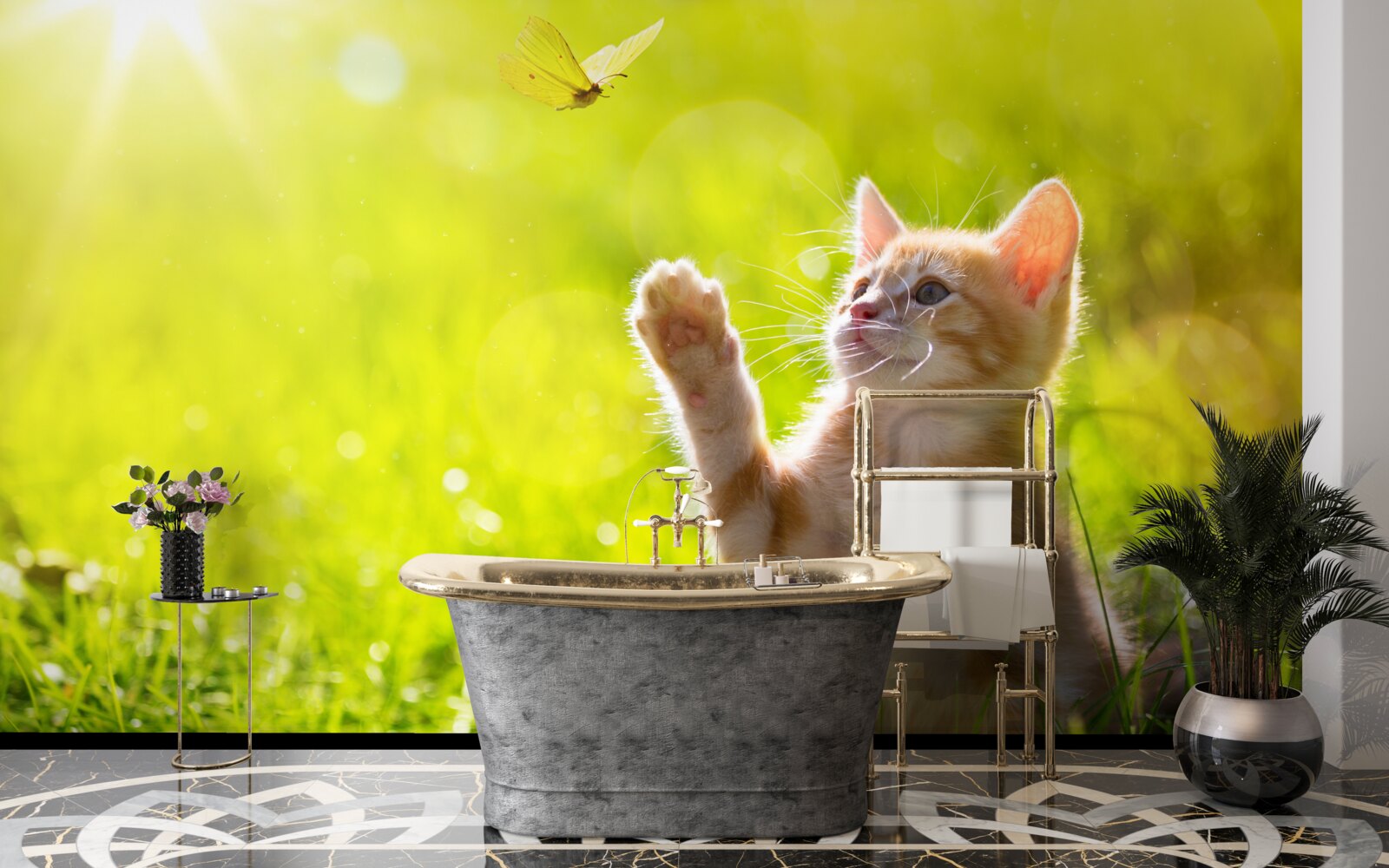 Фотошпалери маленький кіт грається з метеликом у зеленому полі