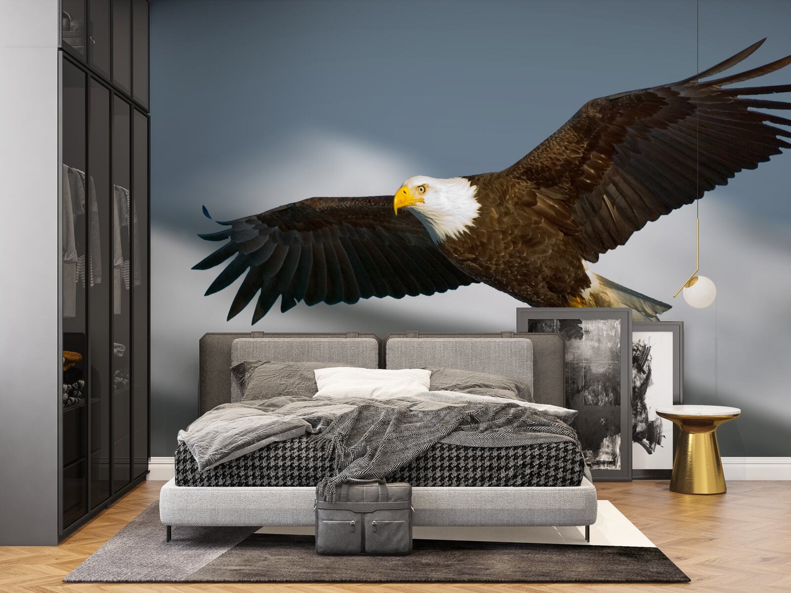 Фотошпалери в небі ширяє орлан-білохвіст