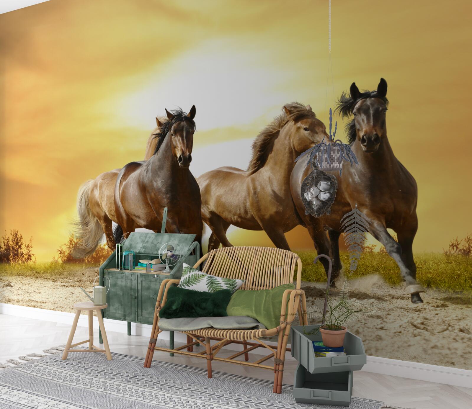 Фотошпалери коні мчать назустріч призахідному сонцю