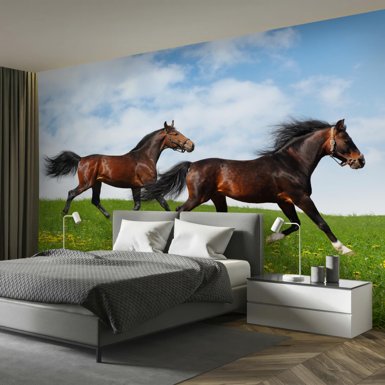 Фотошпалери ранні коні біжать через галявину