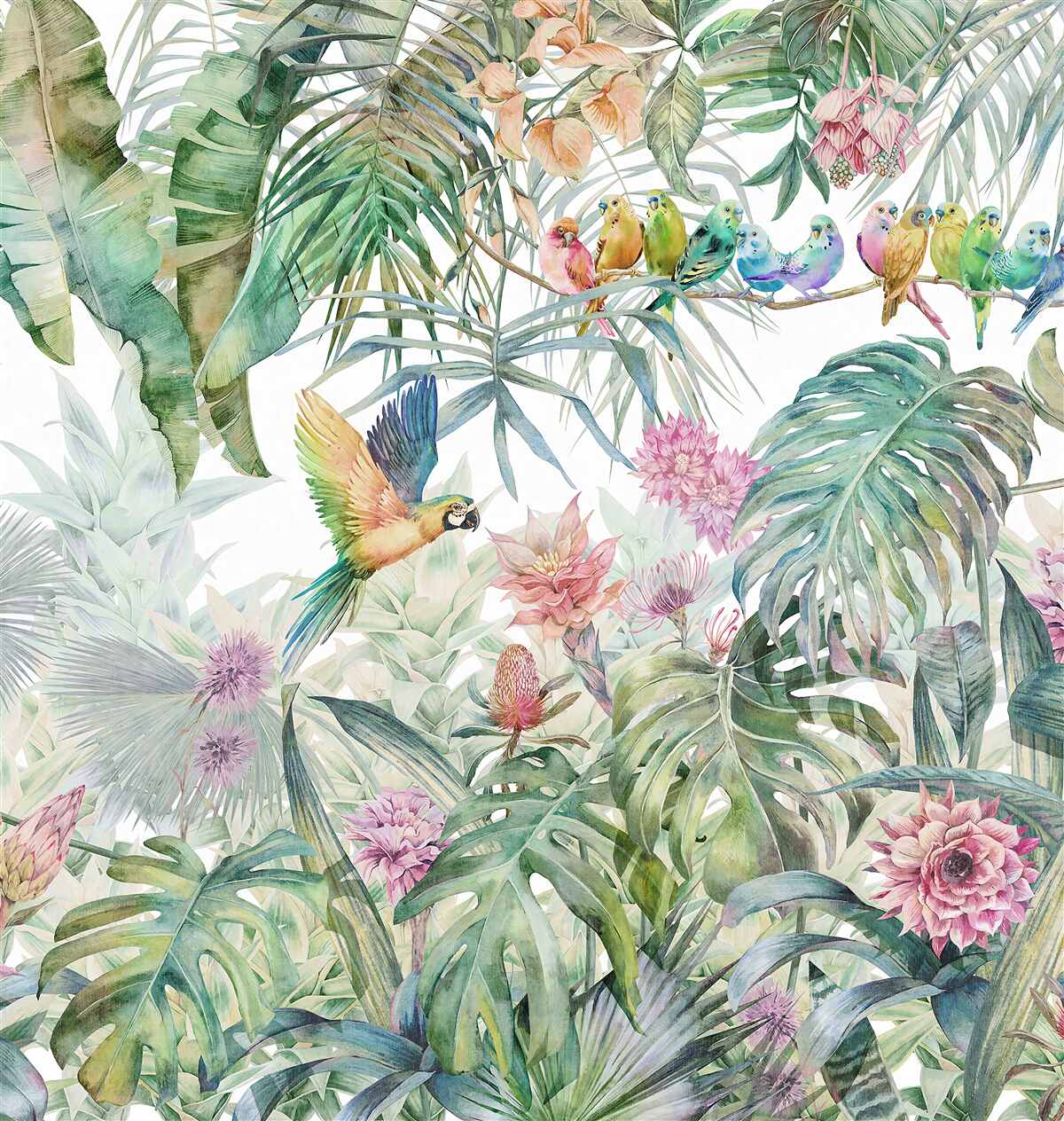 Фотошпалери сім'я папуг у тропічному лісі