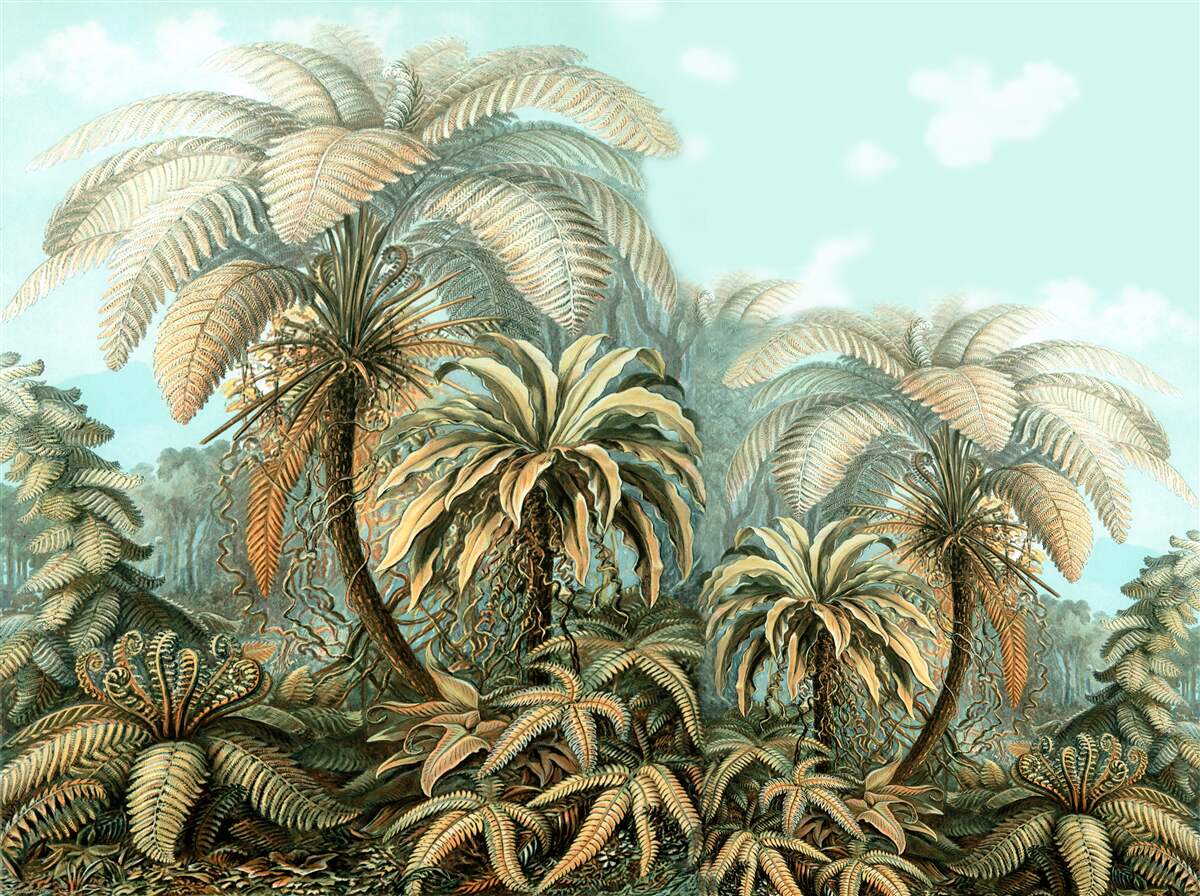 Фотошпалери тропічні дерева на блаженному острові