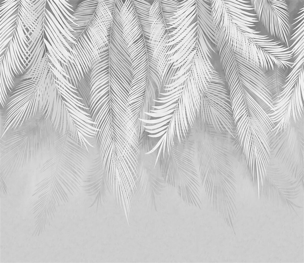 Фотошпалери висить біле пальмове листя