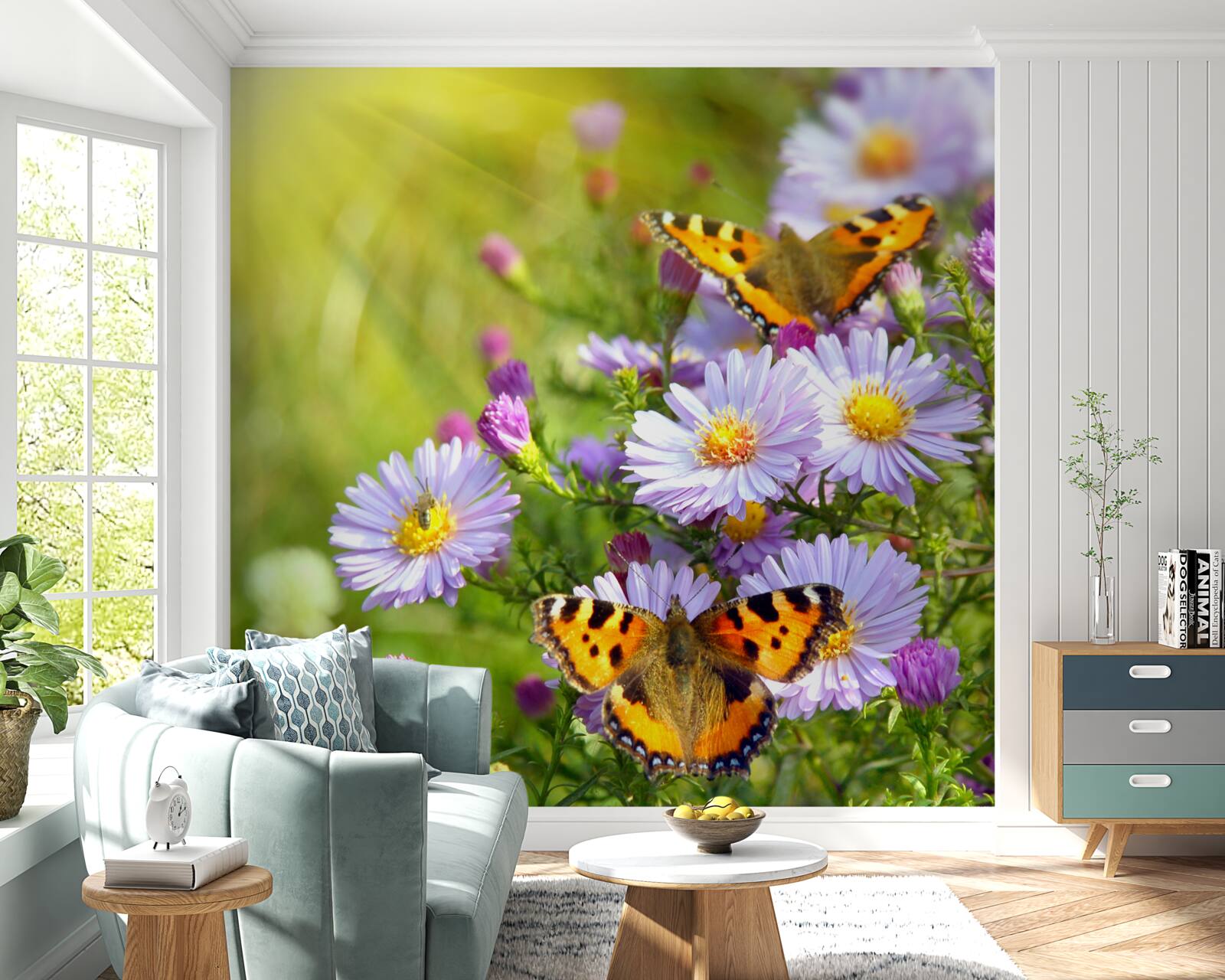 Фотошпалери Луг, усіяний блакитними ромашками та метеликами