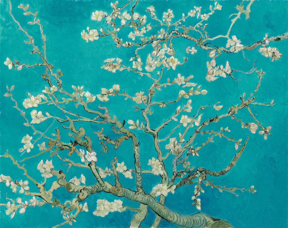 Фотошпалери квітучі гілки мигдалю