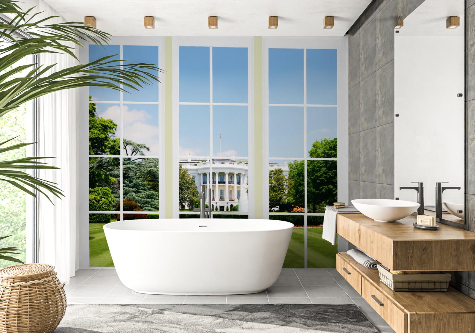 Фотошпалери будинок білосніжний з видом на зелені луки у вікнах