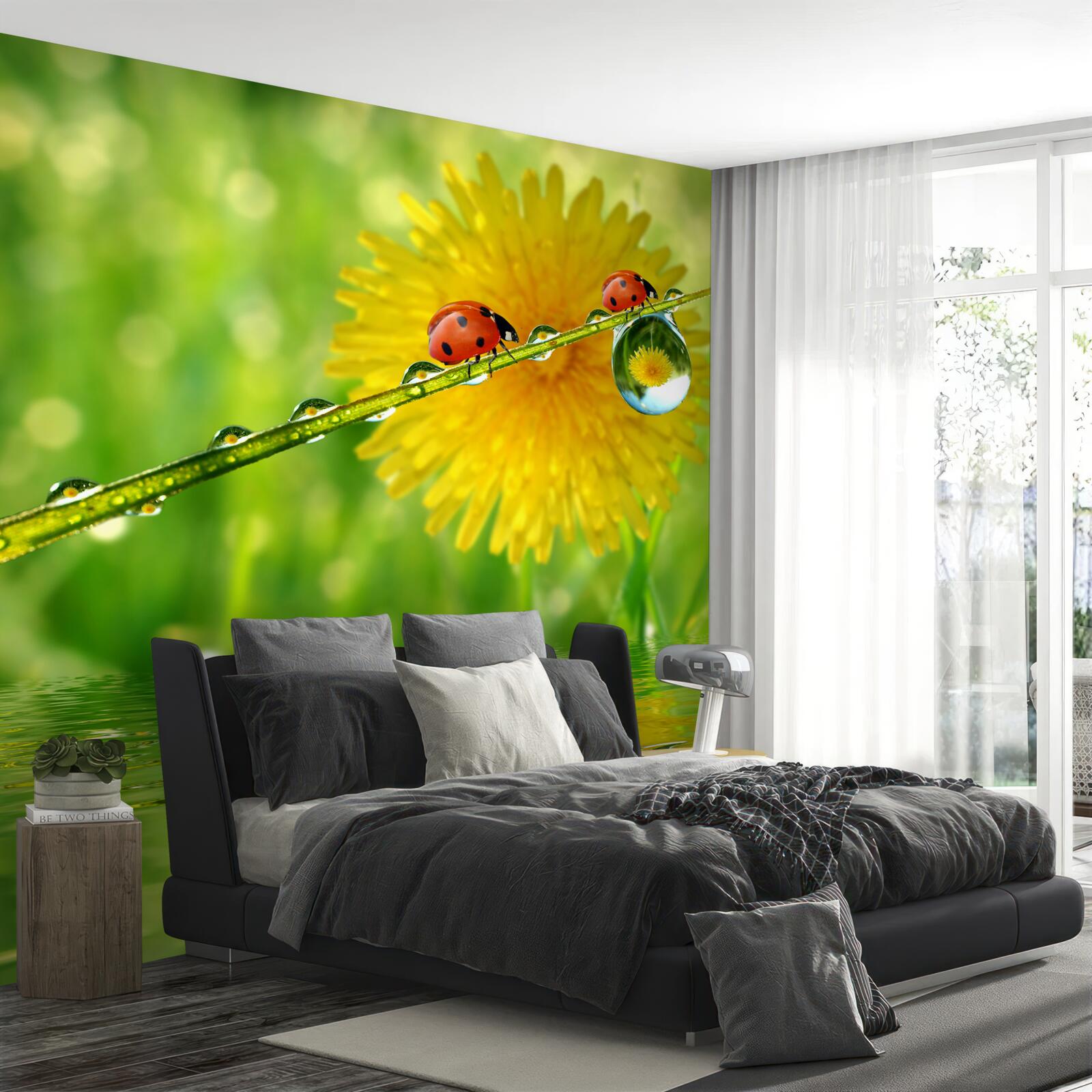 Фотошпалери сонечка після зливи