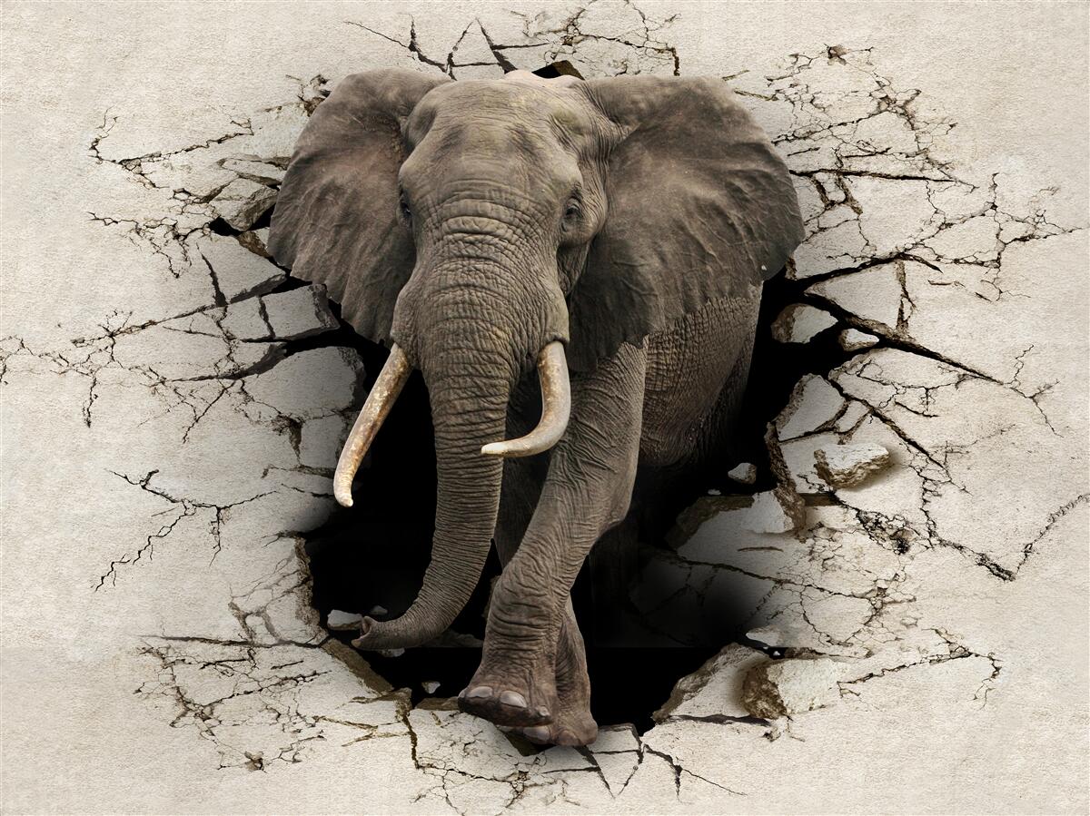 Фотошпалери слон проходить через перешкоду