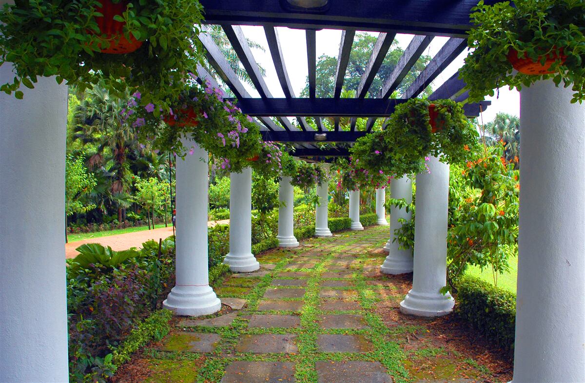 Фотошпалери білі бетонні колони в саду