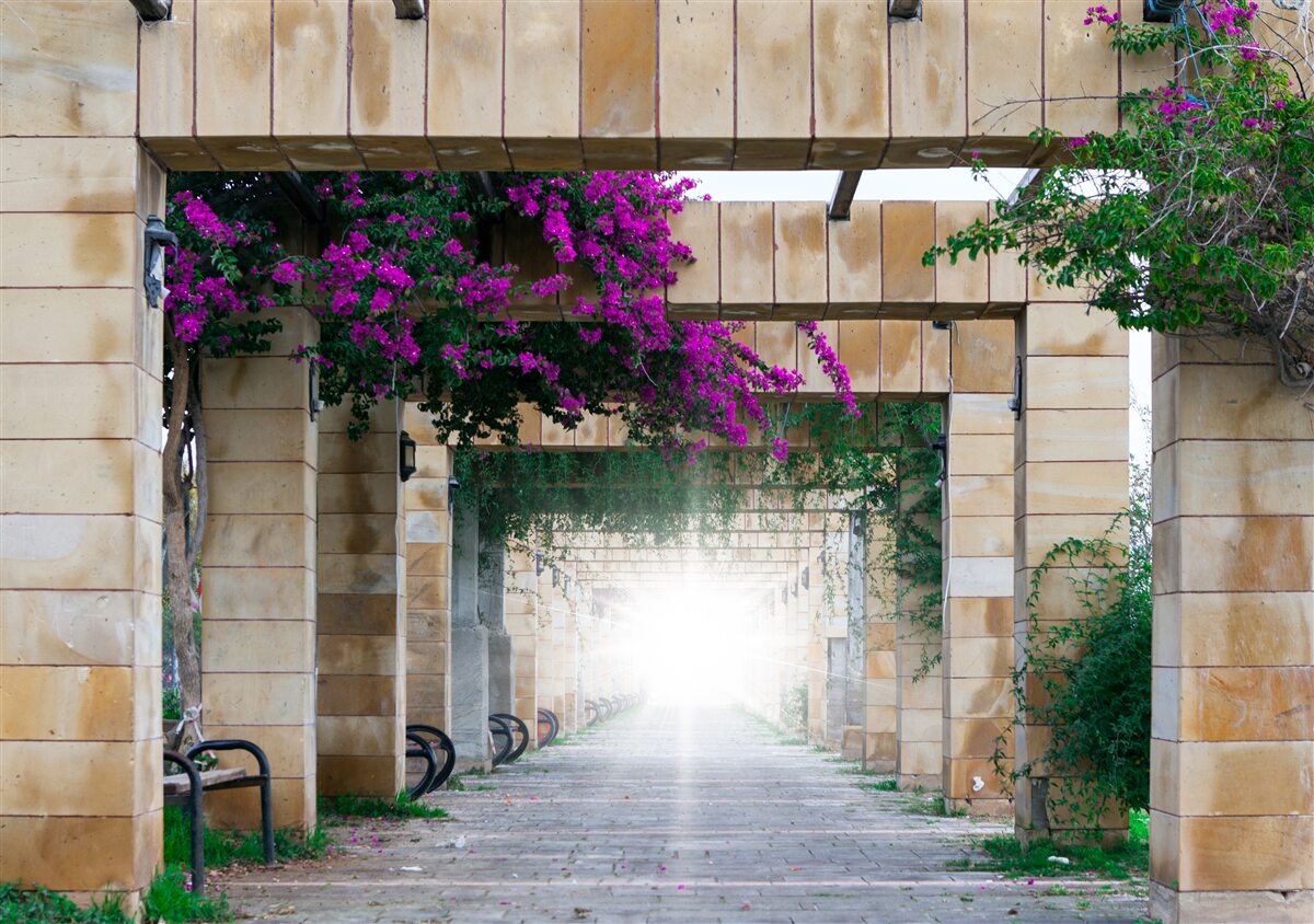 Фотошпалери прямокутна арка з каменю, прикрашена квітами