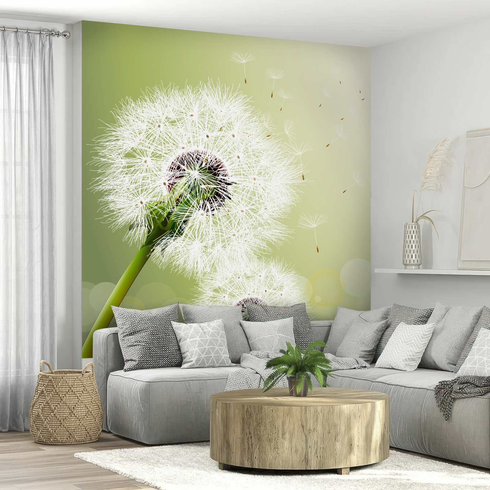 Фотошпалери біла кульбаба, що літає в повітрі