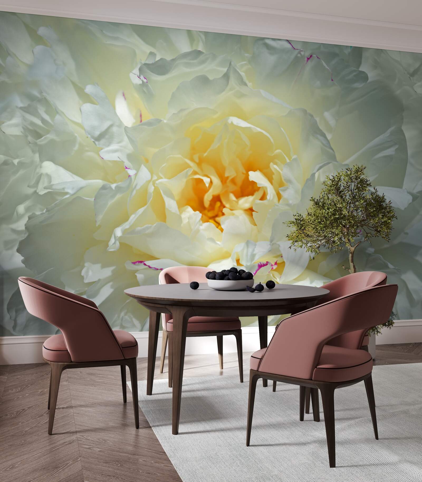 Фотошпалери зображення білої півонії крупним планом