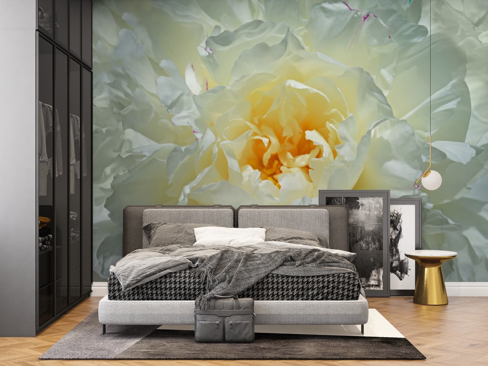 Фотошпалери зображення білої півонії крупним планом