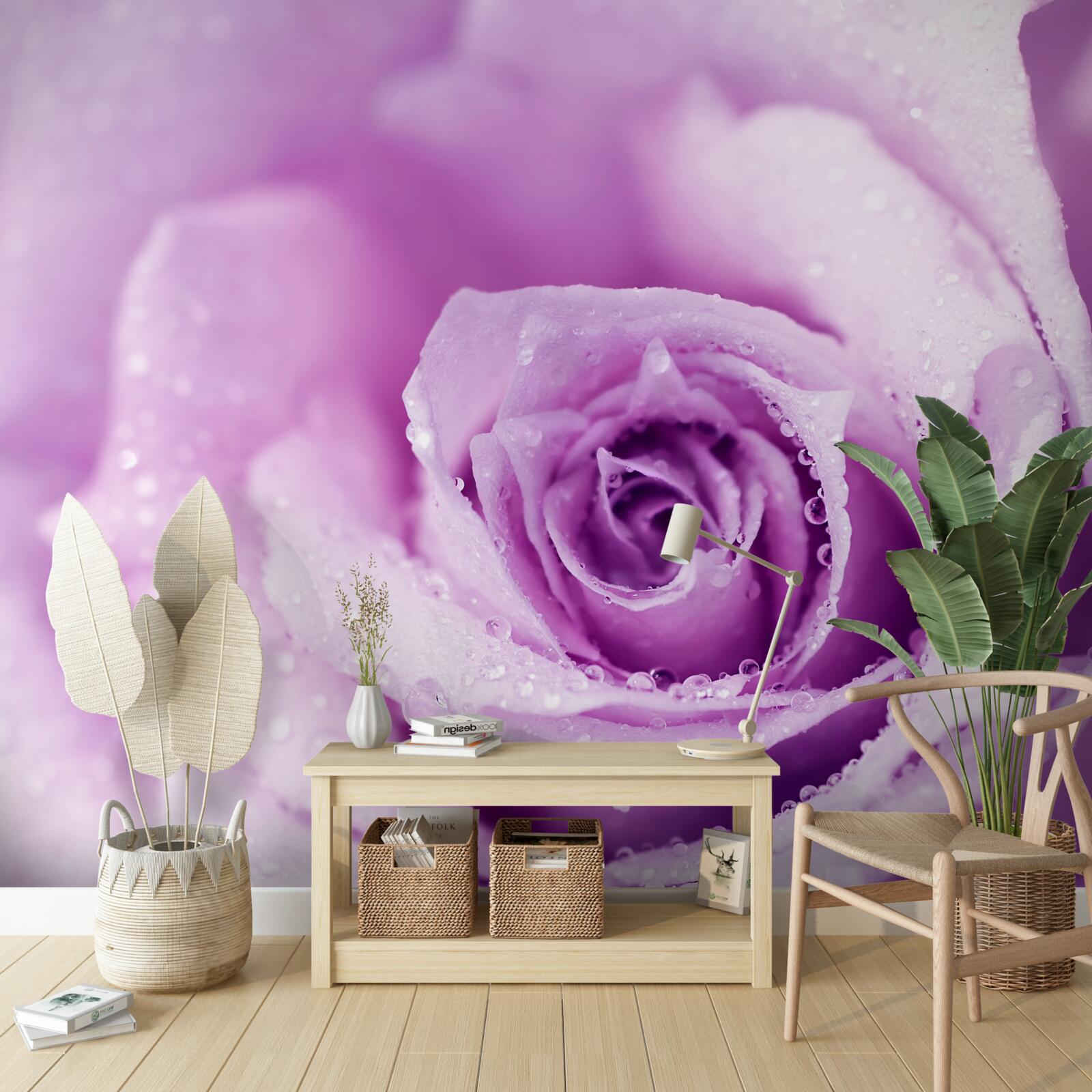 Фотошпалери рожевий з бузковим відтінком після дощу