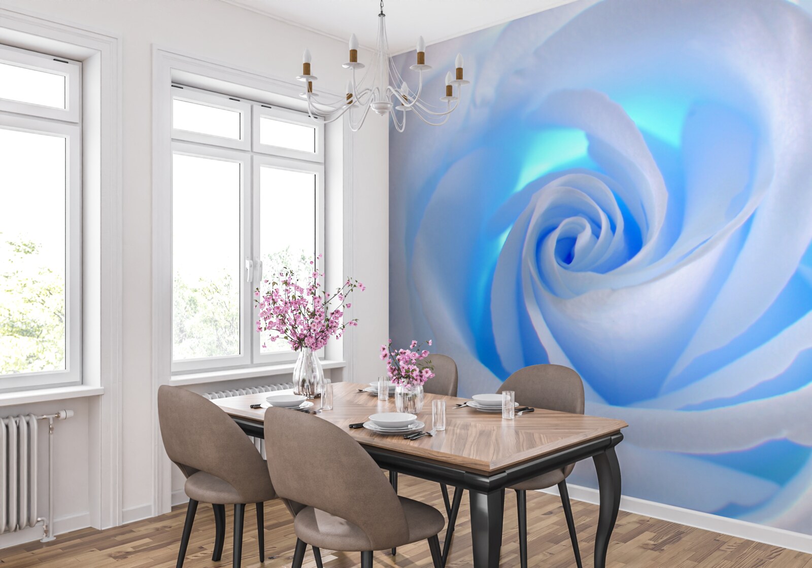 Фотошпалери блакитне світло, що просвічує крізь ніжну білу троянду