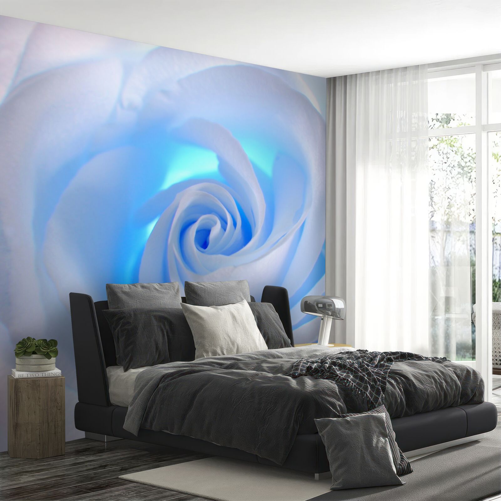 Фотошпалери блакитне світло, що просвічує крізь ніжну білу троянду