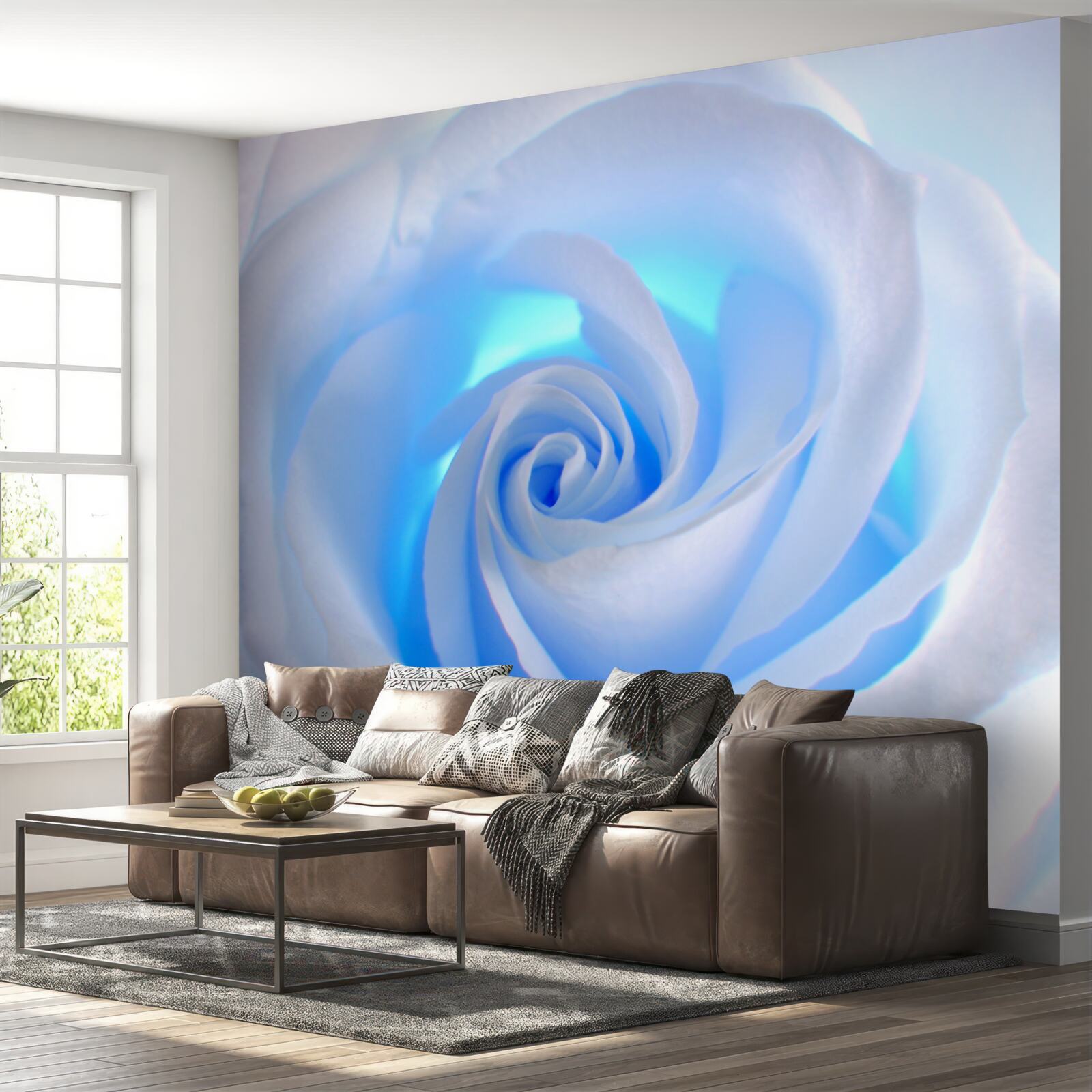 Фотошпалери блакитне світло, що просвічує крізь ніжну білу троянду