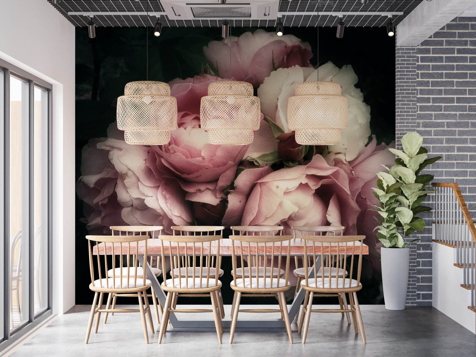 Фотошпалери великі рожеві троянди