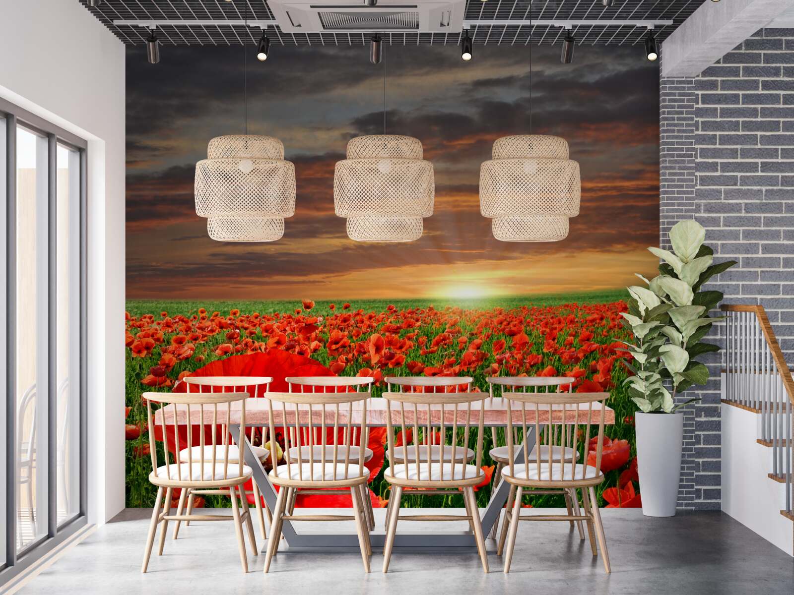 Фотошпалери захід сонця над полем червоних маків