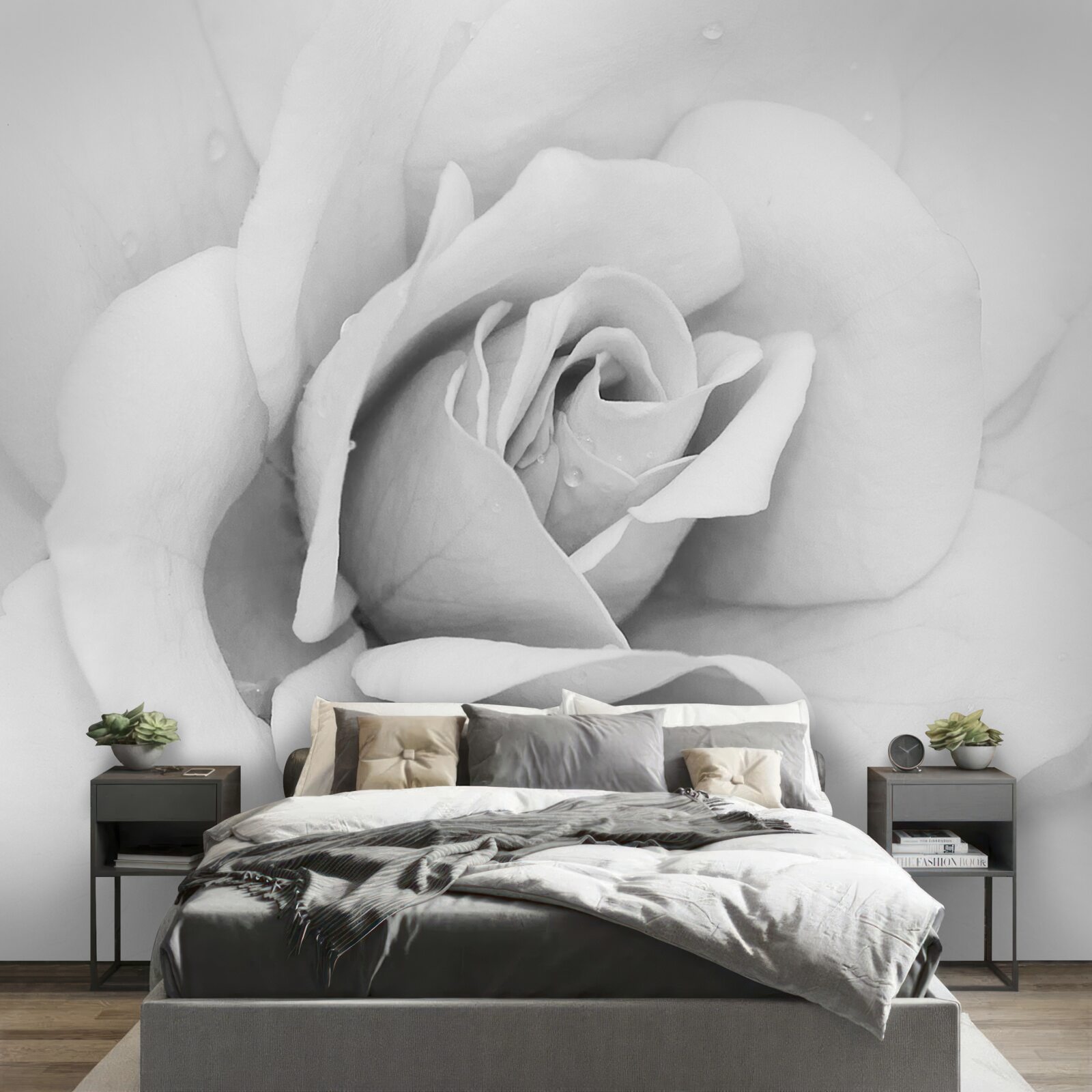 Фотошпалери збільшене зображення білої троянди